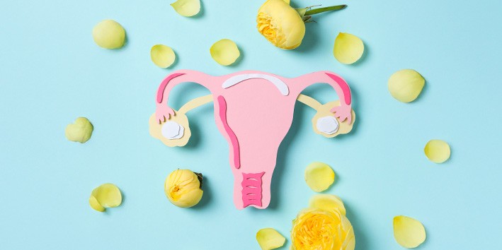 Dong quai beneficios